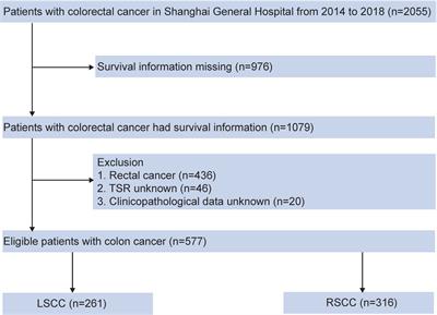 Development and Validation of the Individualized Prognostic Nomograms in Patients With Right- and Left-Sided Colon Cancer